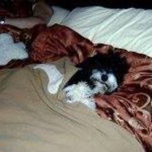 Meet your Posher, Deanna